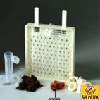 Ana Arı Larva Gözü Kafesi