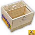 Menteşeli Ana Hapis